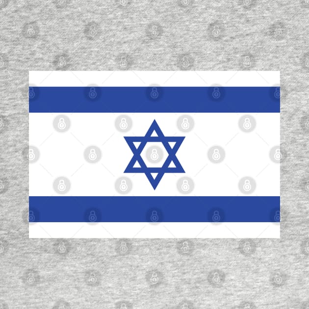 Israeli Flag by Hayden Mango Collective 